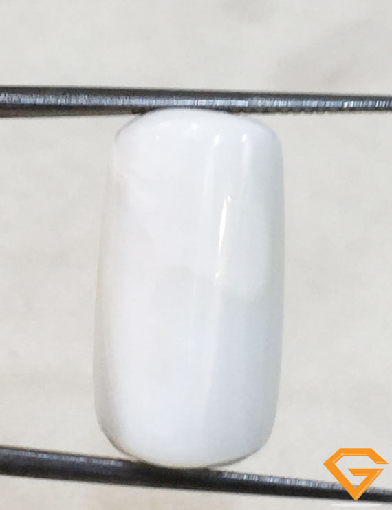 16.50 ratti/14.92 ct Natural Certified  White Coral/सफ़ेद मूंगा